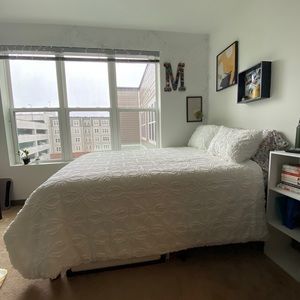 Rachel Ashwell Queen Sized Comforter/Pillow Shams